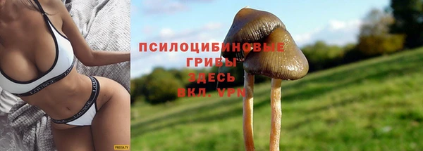 дмт Алексеевка