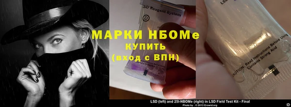 СК Алексин