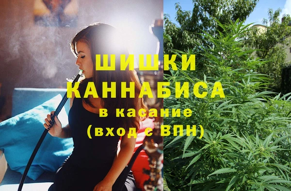 дмт Алексеевка